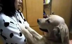 虐爱社区个人主页